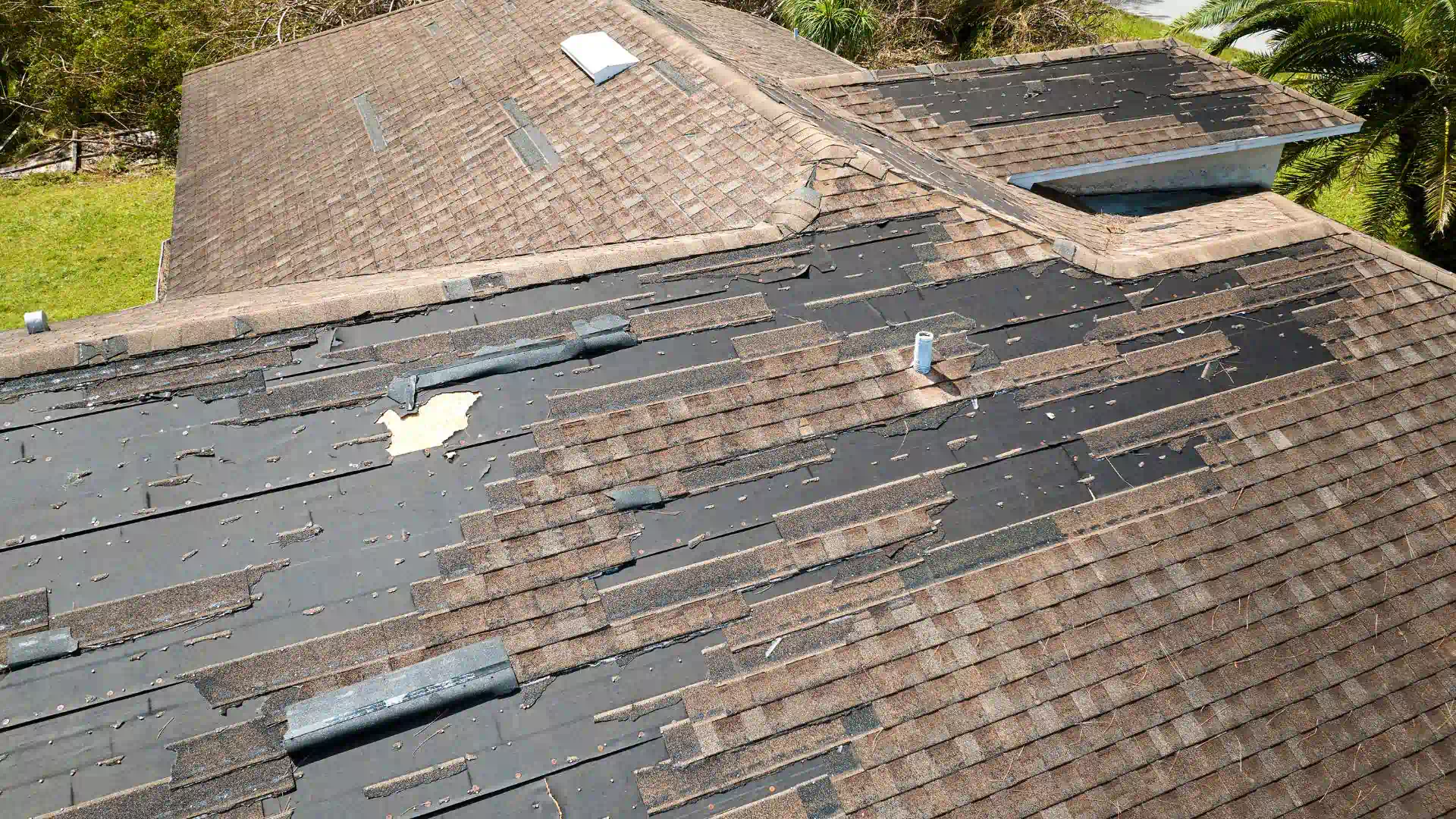 damaged shingle 1